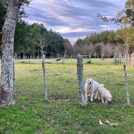 Pinos De La Quebrada Villa Quebrada de los Cuervos Ngoại thất bức ảnh
