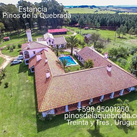 Pinos De La Quebrada Villa Quebrada de los Cuervos Ngoại thất bức ảnh