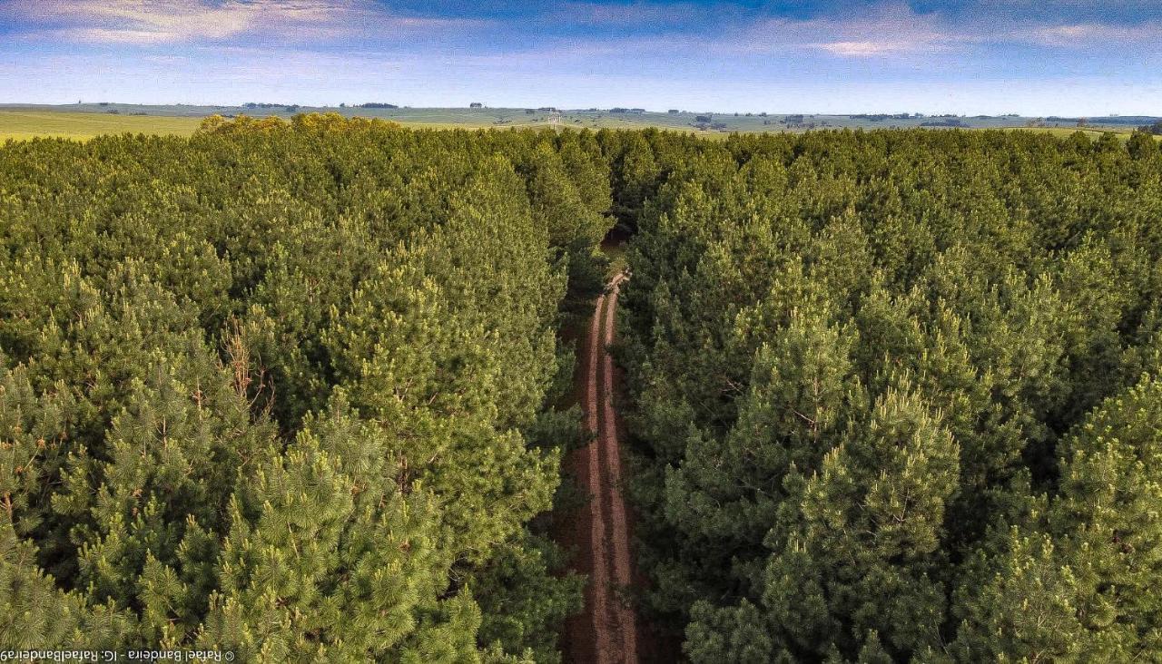 Pinos De La Quebrada Villa Quebrada de los Cuervos Ngoại thất bức ảnh