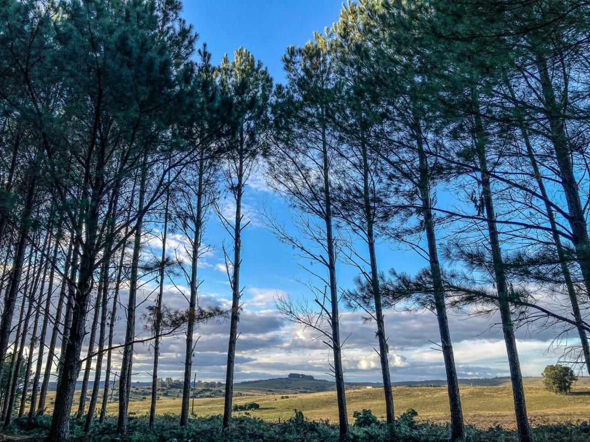Pinos De La Quebrada Villa Quebrada de los Cuervos Ngoại thất bức ảnh