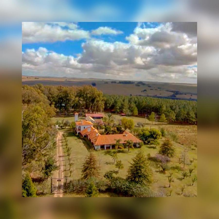 Pinos De La Quebrada Villa Quebrada de los Cuervos Ngoại thất bức ảnh