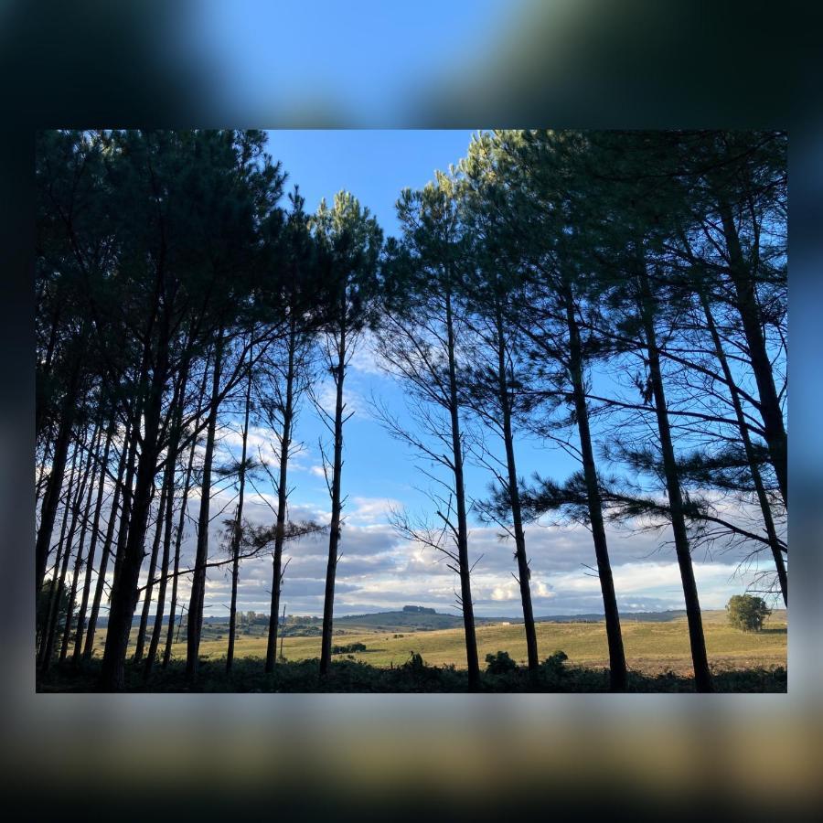 Pinos De La Quebrada Villa Quebrada de los Cuervos Ngoại thất bức ảnh
