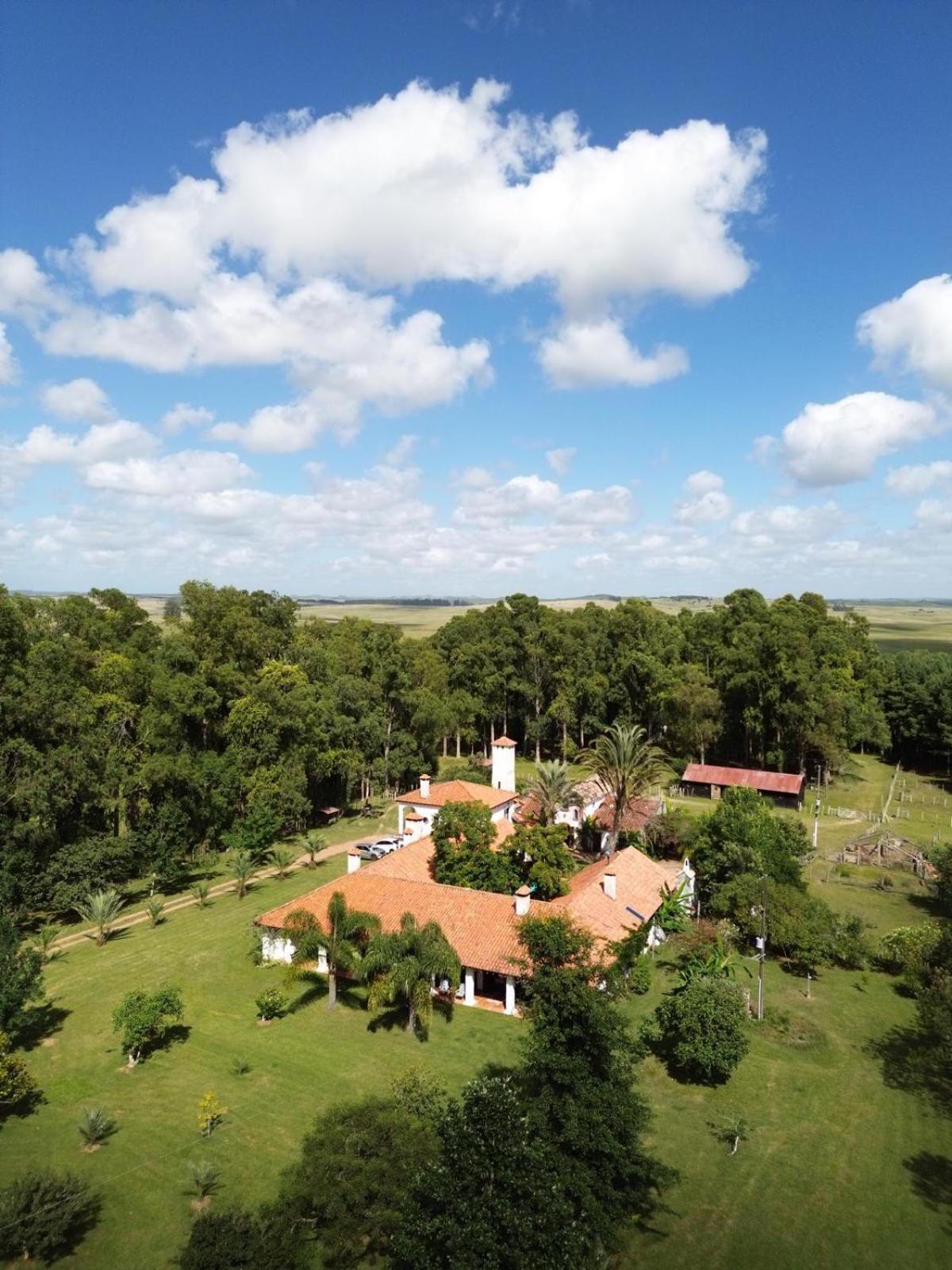 Pinos De La Quebrada Villa Quebrada de los Cuervos Ngoại thất bức ảnh