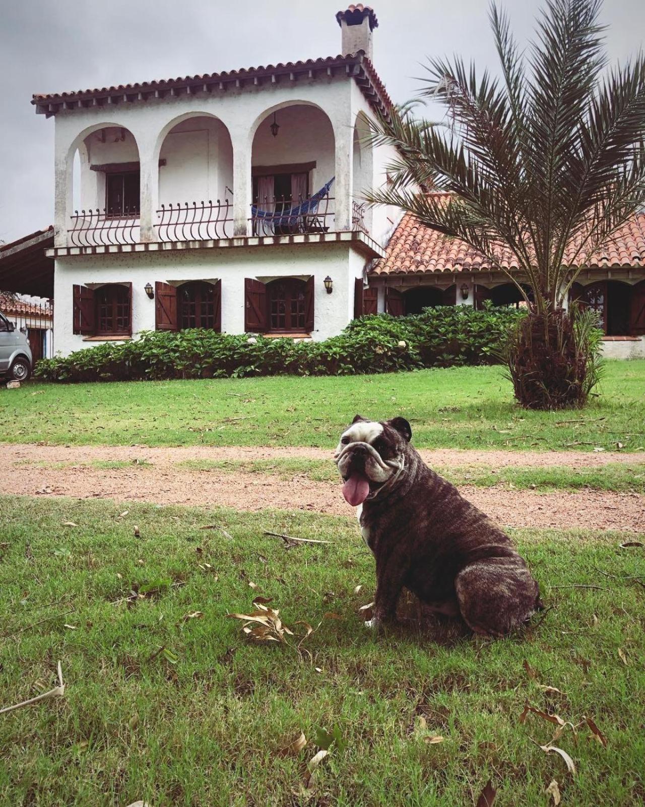 Pinos De La Quebrada Villa Quebrada de los Cuervos Ngoại thất bức ảnh