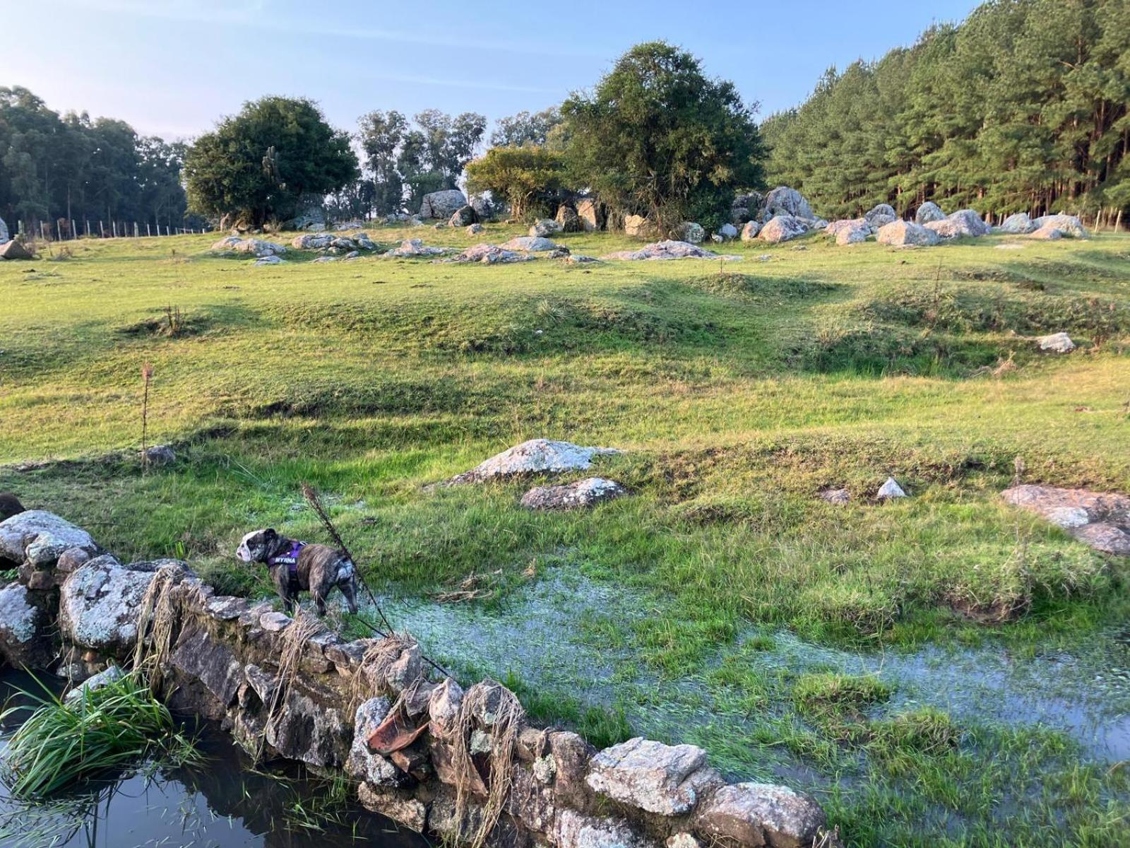 Pinos De La Quebrada Villa Quebrada de los Cuervos Ngoại thất bức ảnh