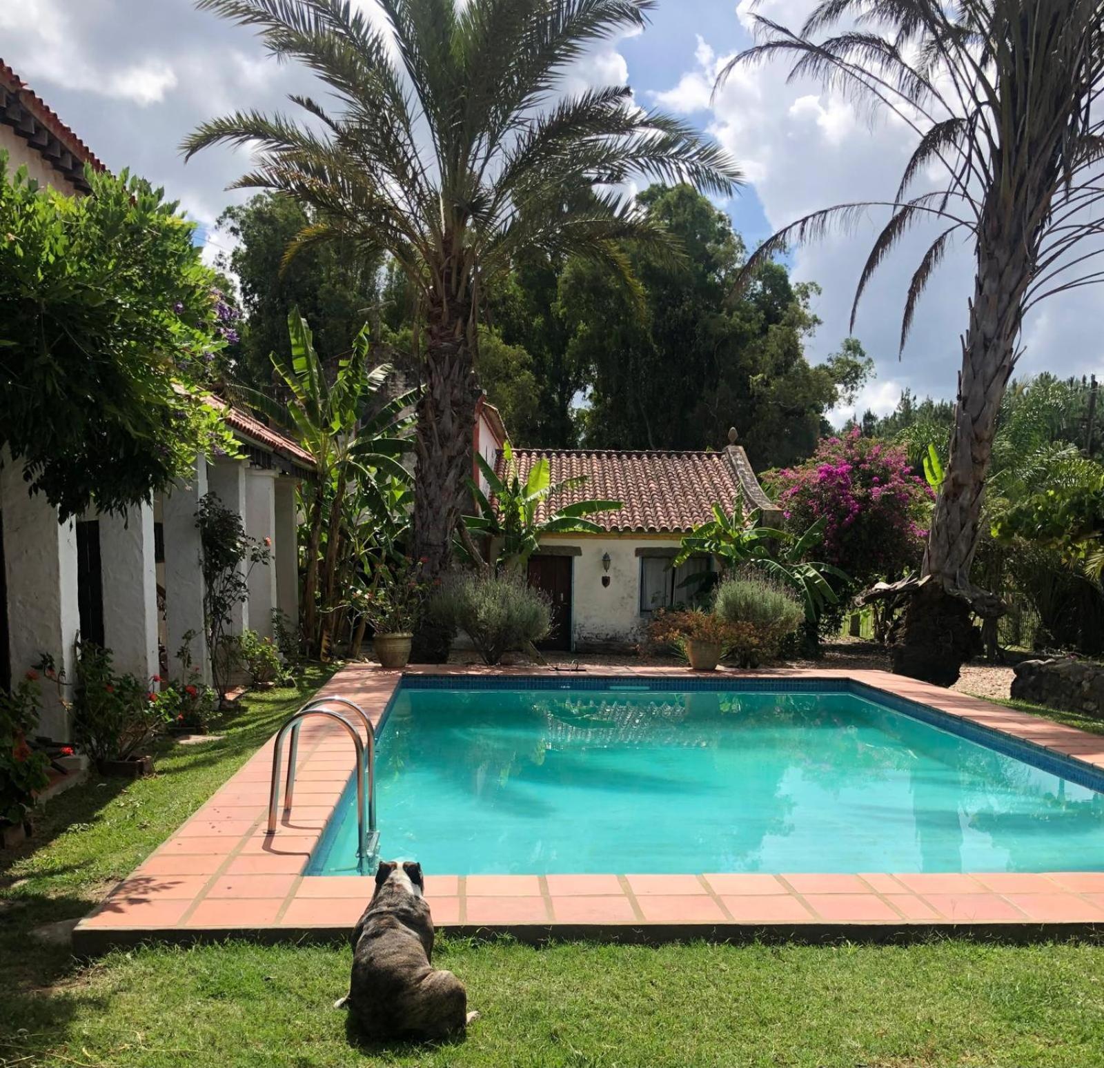 Pinos De La Quebrada Villa Quebrada de los Cuervos Ngoại thất bức ảnh