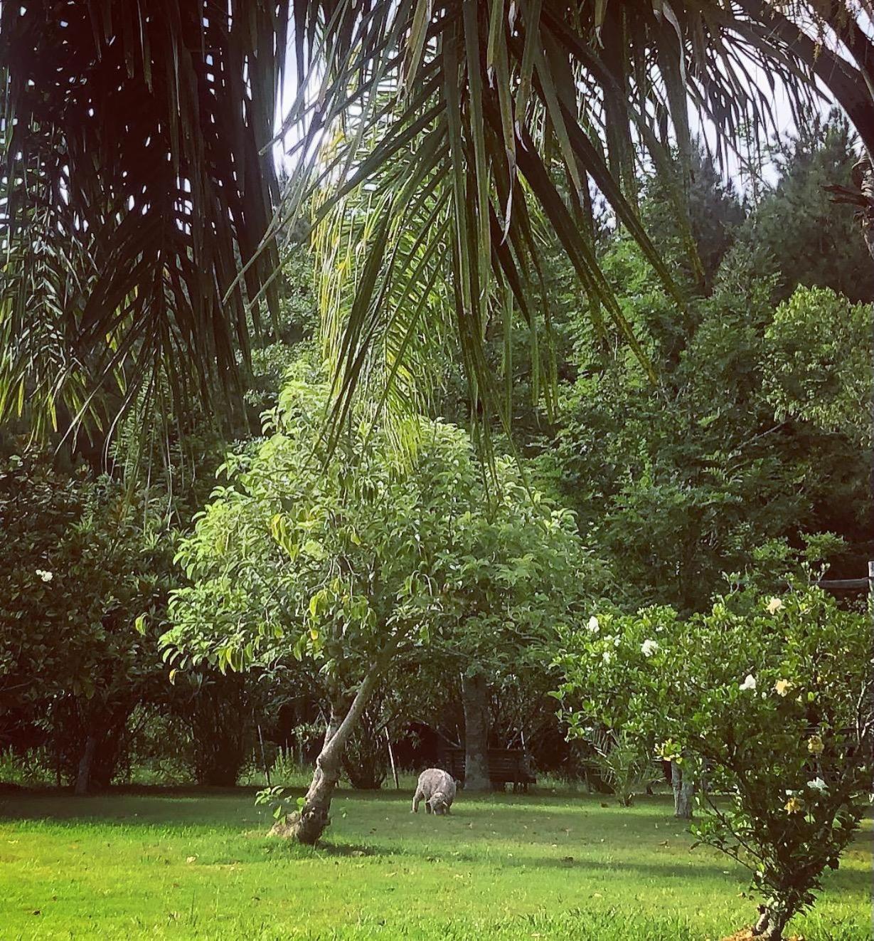 Pinos De La Quebrada Villa Quebrada de los Cuervos Ngoại thất bức ảnh