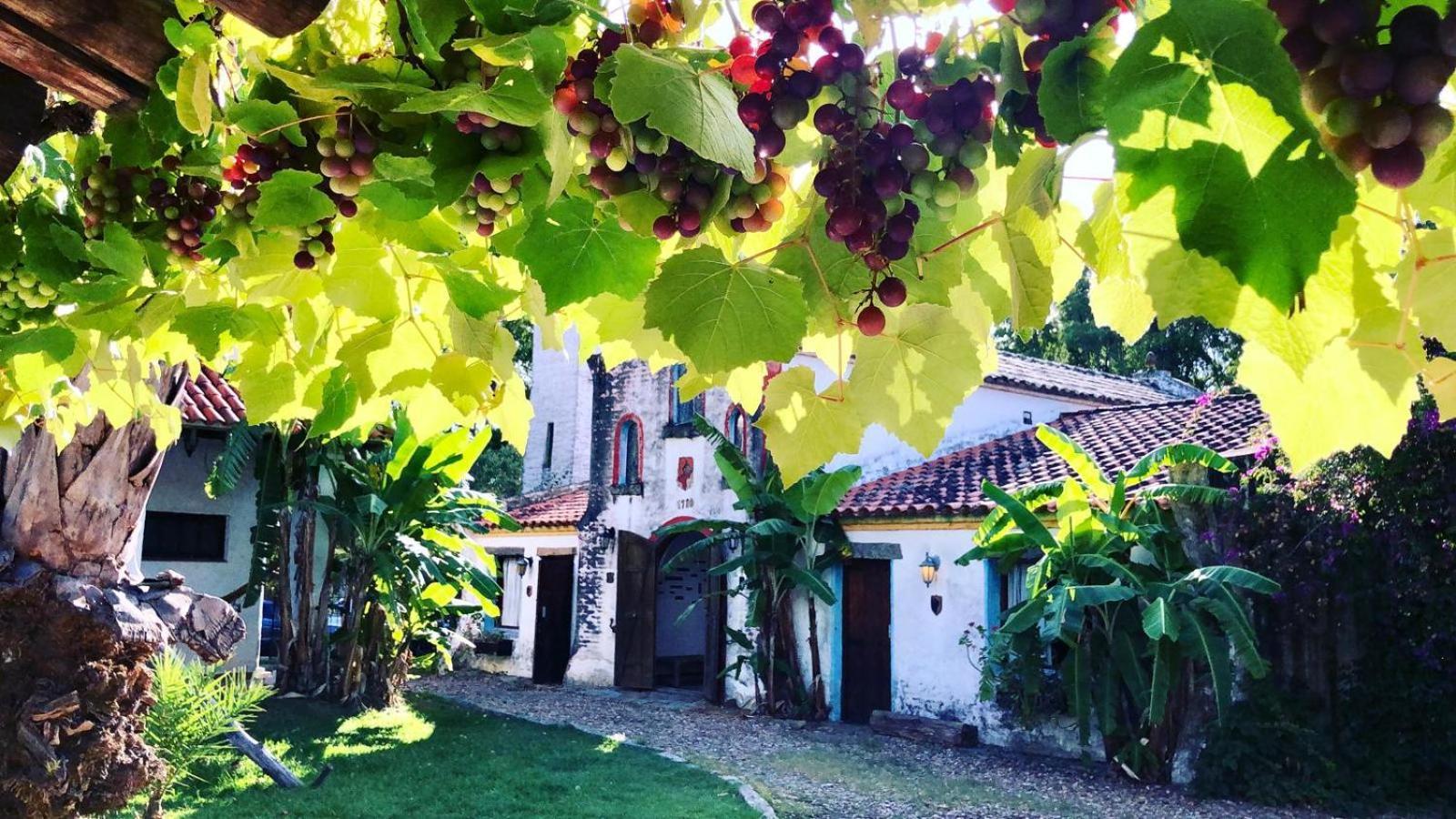 Pinos De La Quebrada Villa Quebrada de los Cuervos Ngoại thất bức ảnh