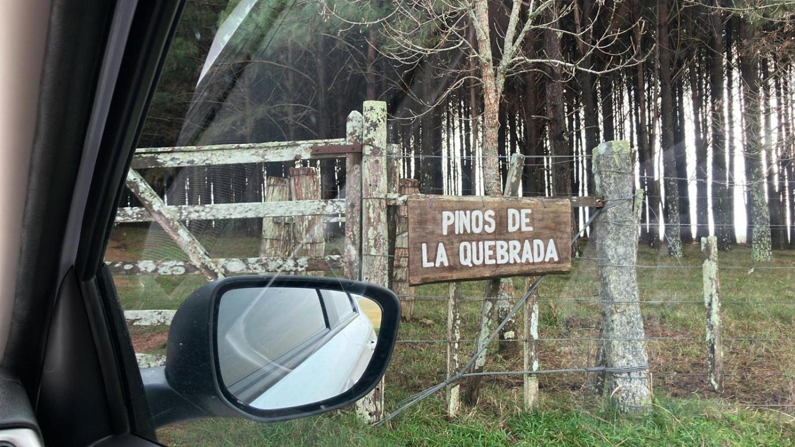 Pinos De La Quebrada Villa Quebrada de los Cuervos Ngoại thất bức ảnh