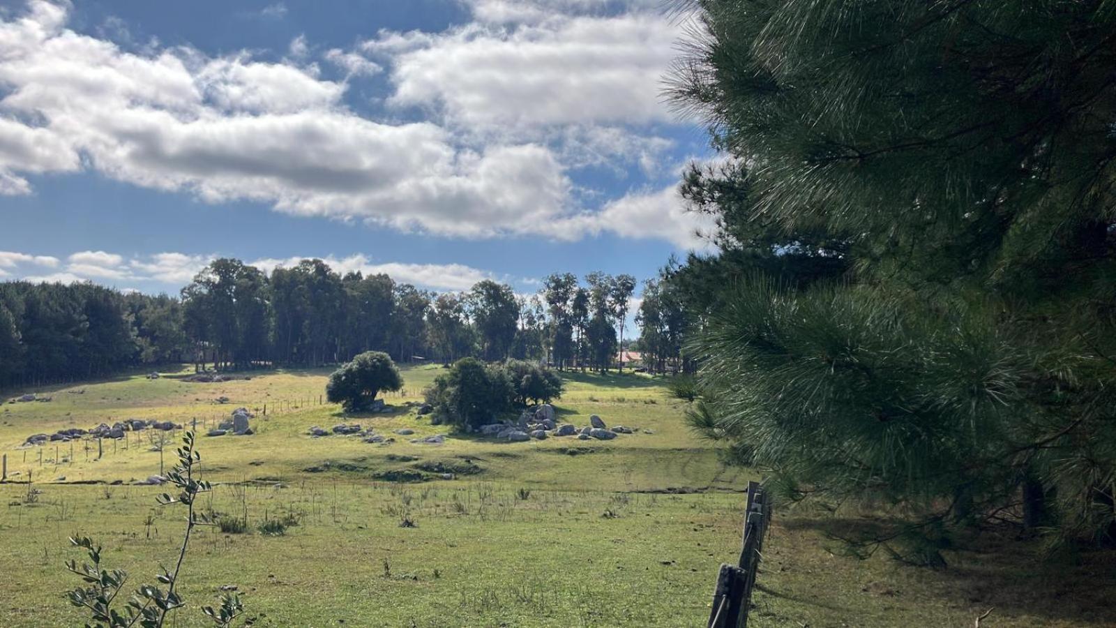 Pinos De La Quebrada Villa Quebrada de los Cuervos Ngoại thất bức ảnh