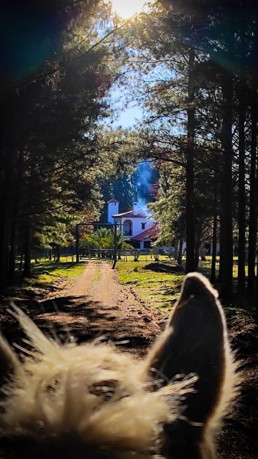 Pinos De La Quebrada Villa Quebrada de los Cuervos Ngoại thất bức ảnh