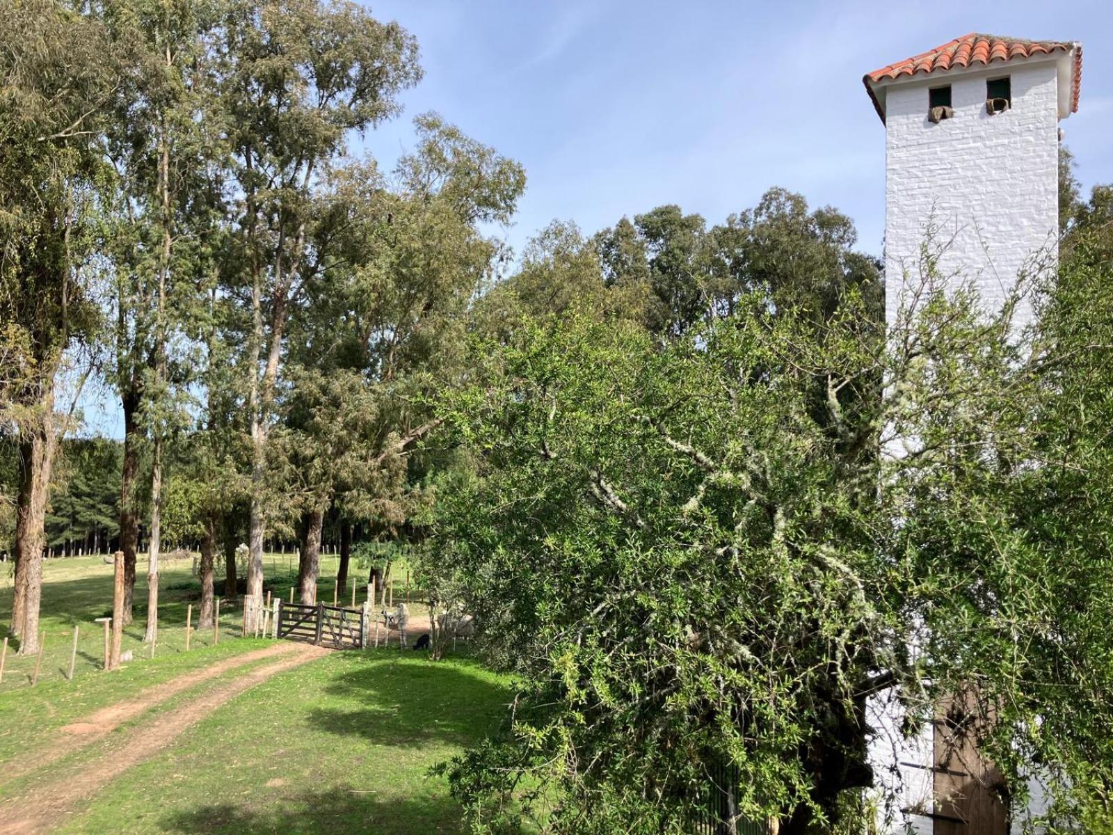 Pinos De La Quebrada Villa Quebrada de los Cuervos Ngoại thất bức ảnh